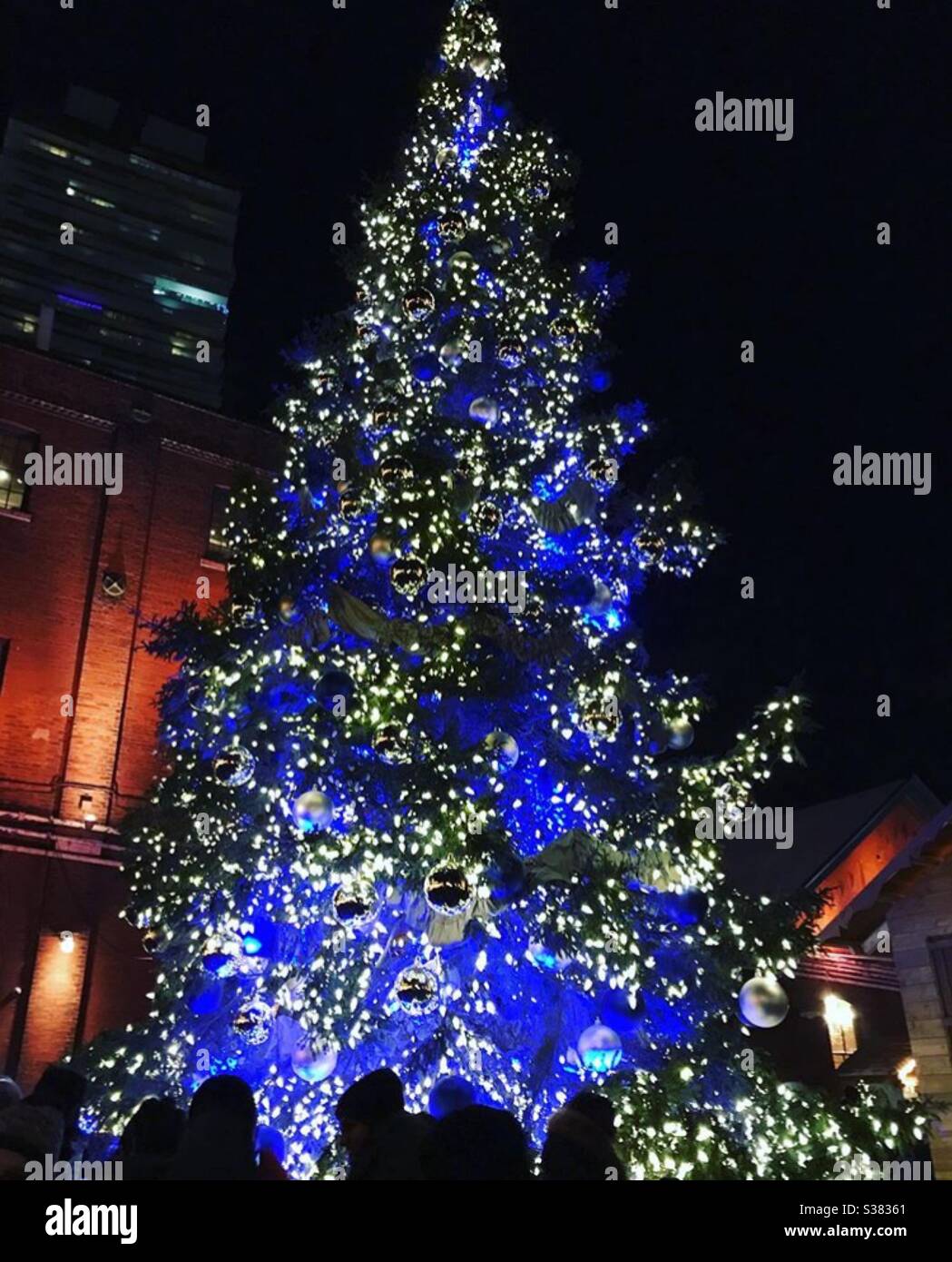Christmas tree with blue lights. Toronto Stock Photo Alamy