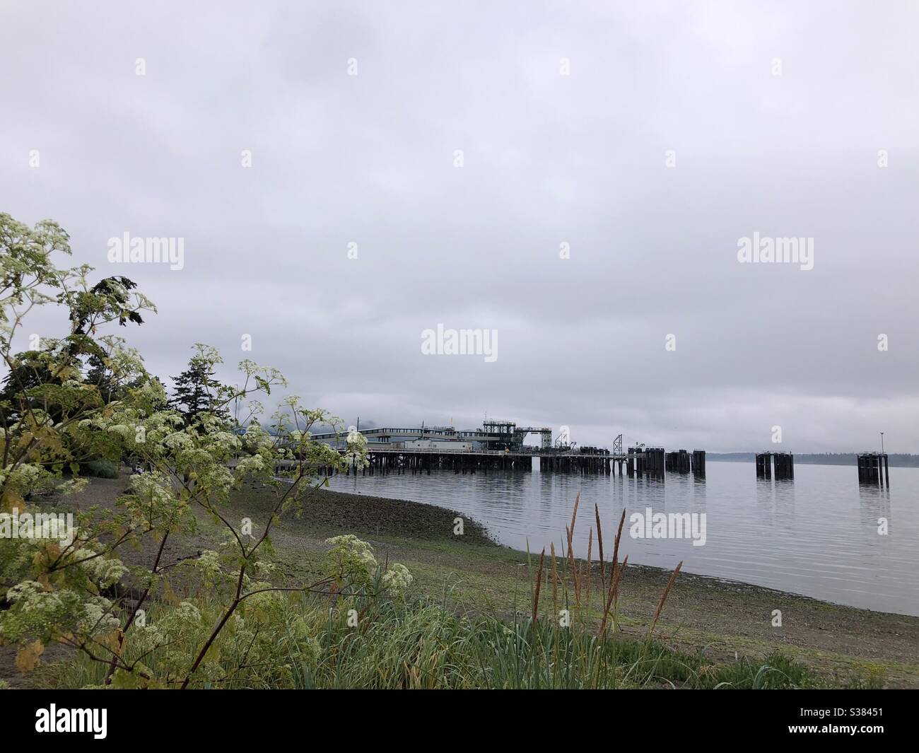 Gloomy Pacific Northwest summer on the beach by ferry dock in Anacortes, Washington state Stock Photo