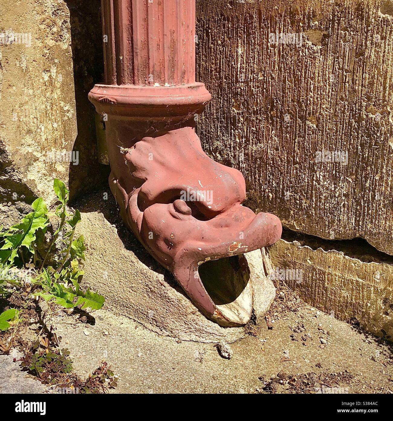 Symbolic Dragon’s head and open mouth at bottom of rainwater downspout on French church. Stock Photo