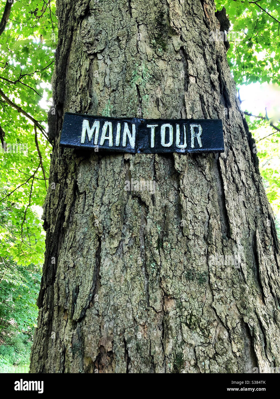 Vintage metal sign on tree to navigate roads in summer bungalow or cabin community - Smartphone Captured Stock Image