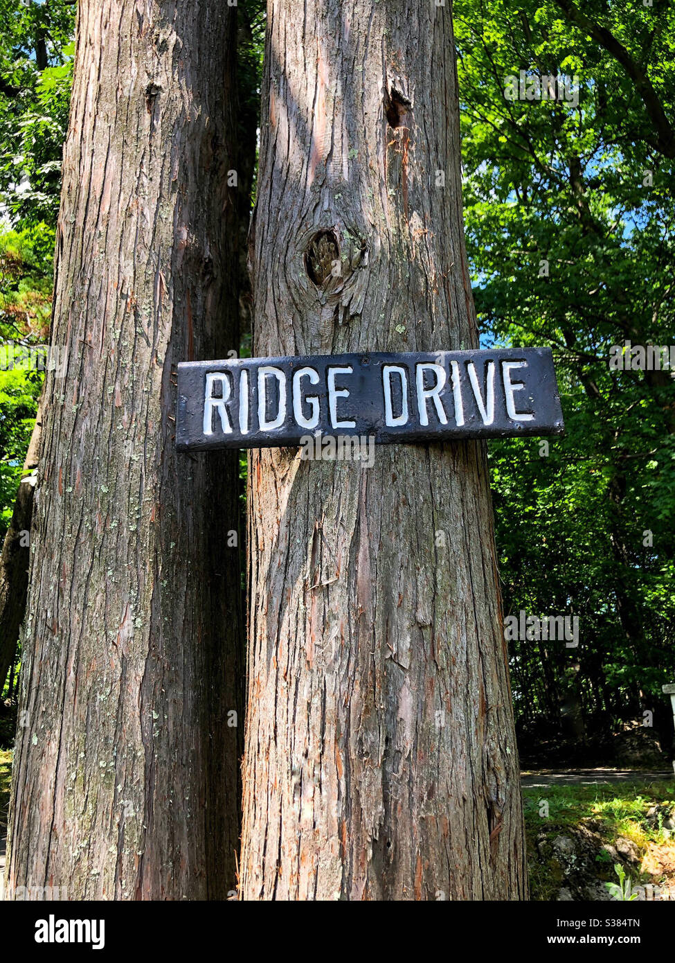 Vintage metal sign posted on tree as a street sign to provide navigation in private bungalow or cottage community - Smartphone Captured Stock Image
