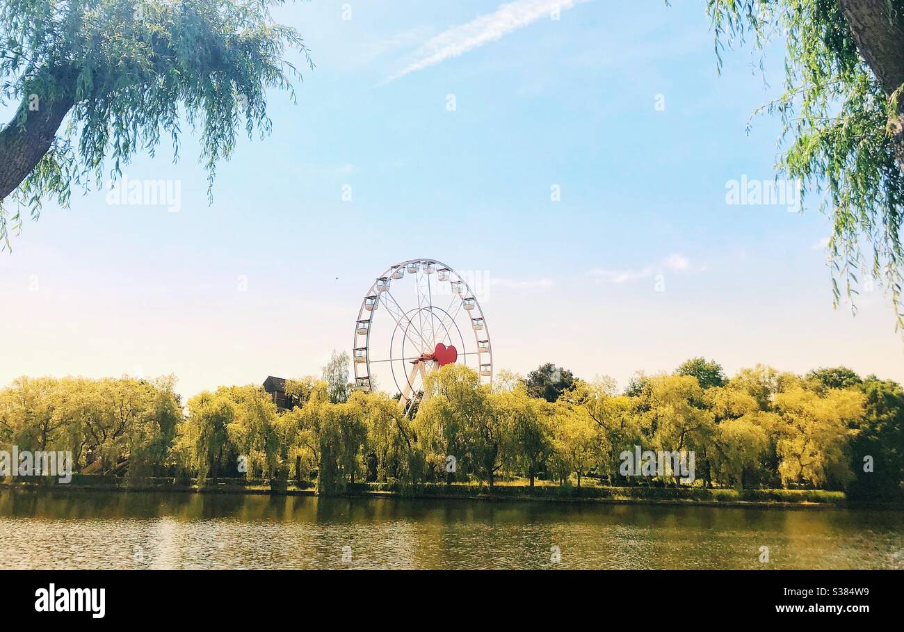 Ferris wheel in between the trees at a lake - Smartphone Captured Stock Image
