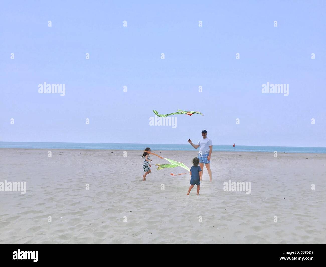 Family and Kite flying on the beach Stock Photo