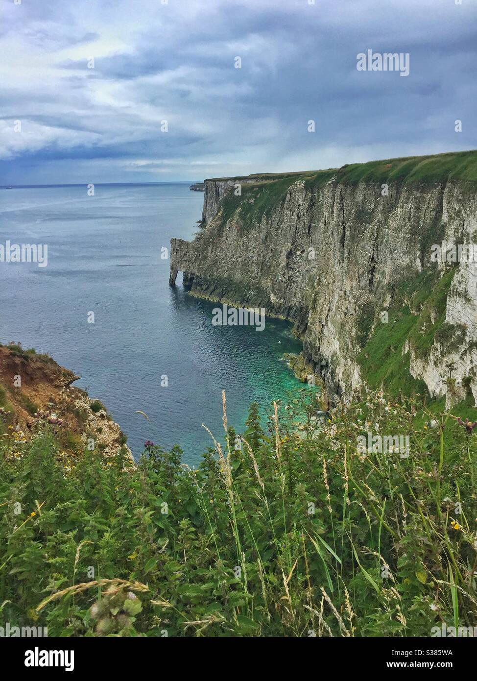 A view of Bempton cliffs on the East Yorkshire coast in the U.K. - Smartphone Captured Stock Image