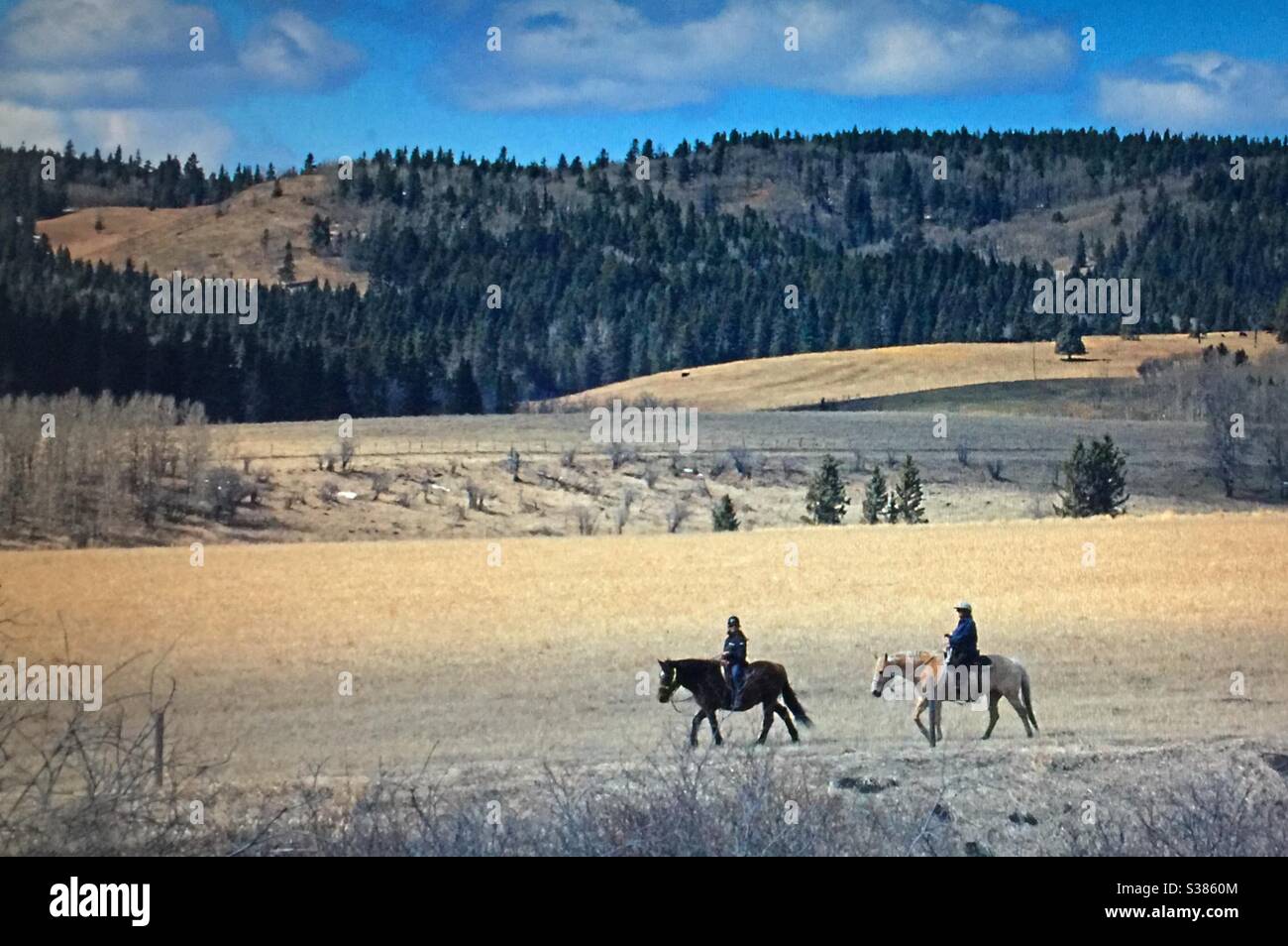Two people is horseback, riding, relaxation, refreshing, foothills of the Canadian Rockies, pleasure, recreational, fresh air - Smartphone Captured Stock Image