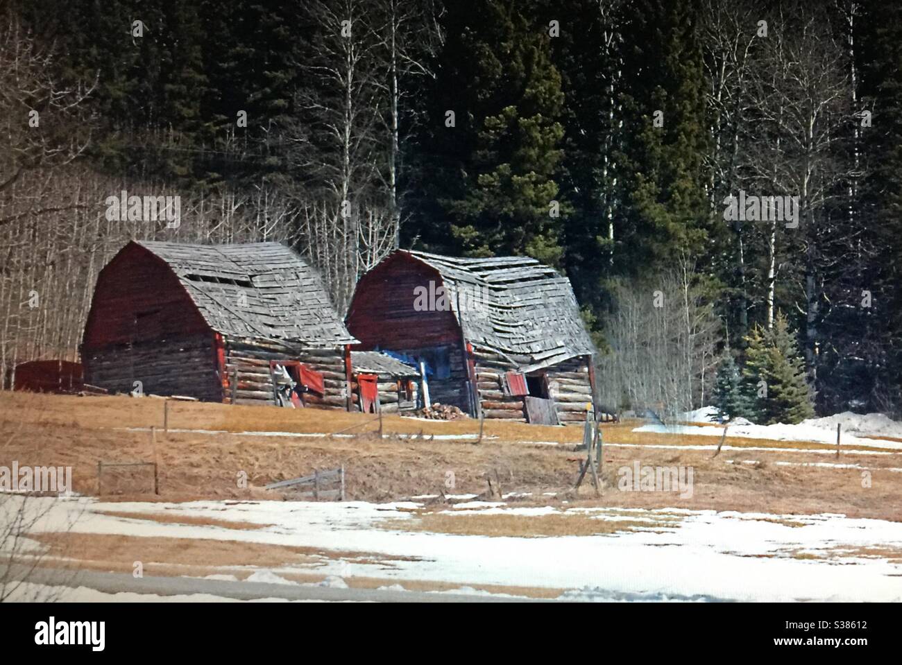 Two barns, log barns, old, hip roofed, farm, agriculture, historic, antique - Smartphone Captured Stock Image