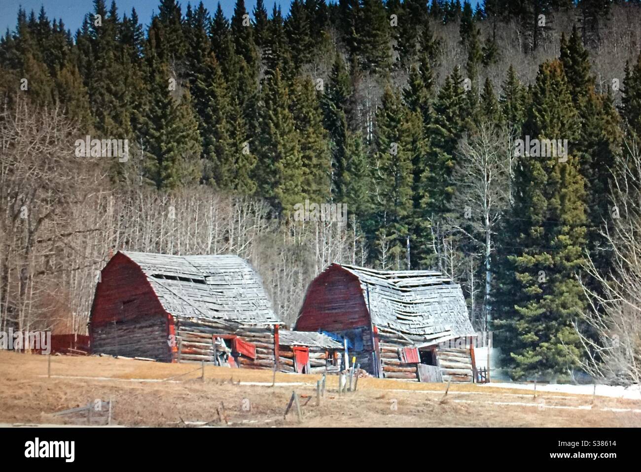 Two barns, log barns, old, hip roofed, farm, agriculture, historic, antique - Smartphone Captured Stock Image