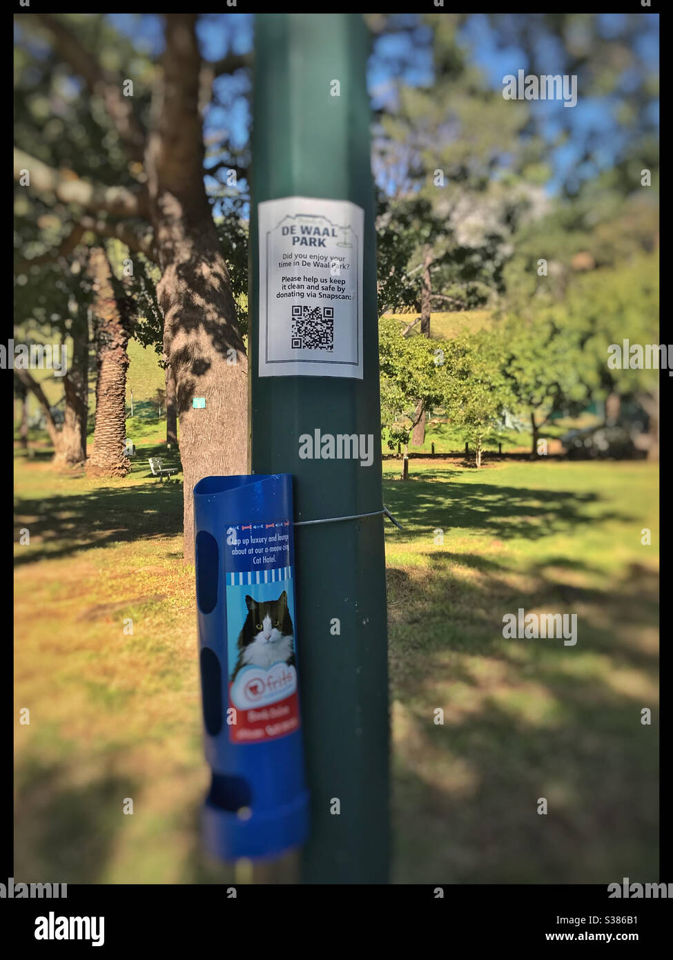 Dog poo bag dispenser in De Waal park, Cape Town, South Africa. Stock Photo