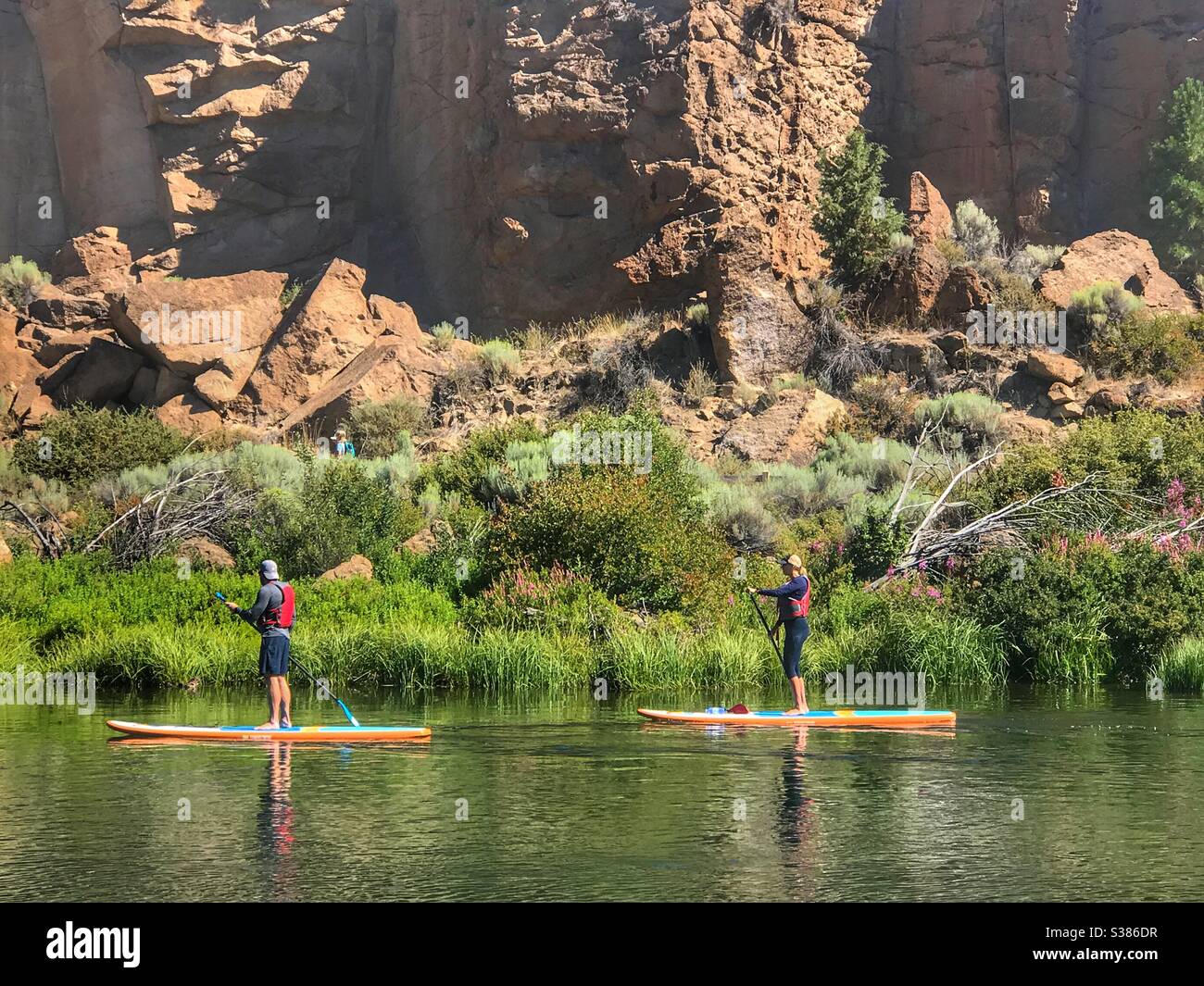 Paddle boarding up the river in Bend Oregon - Smartphone Captured Stock Image
