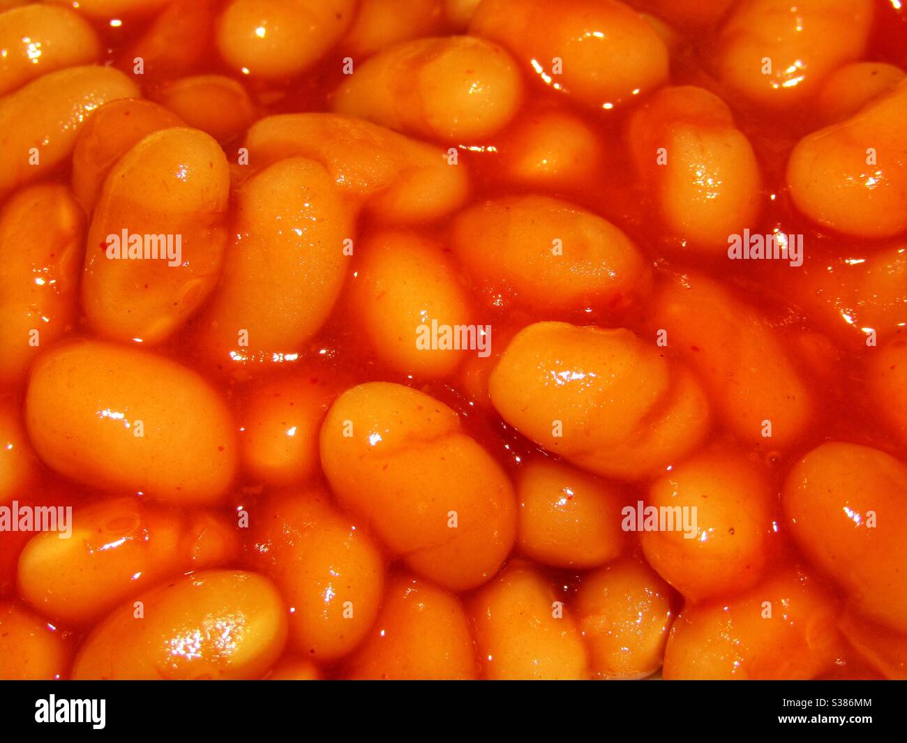 Macro photography Baked Beans Stock Photo Alamy