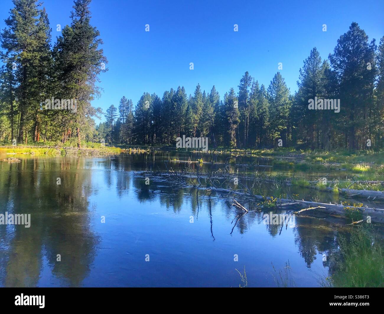 Beautiful slow moving river with reflections - Smartphone Captured Stock Image