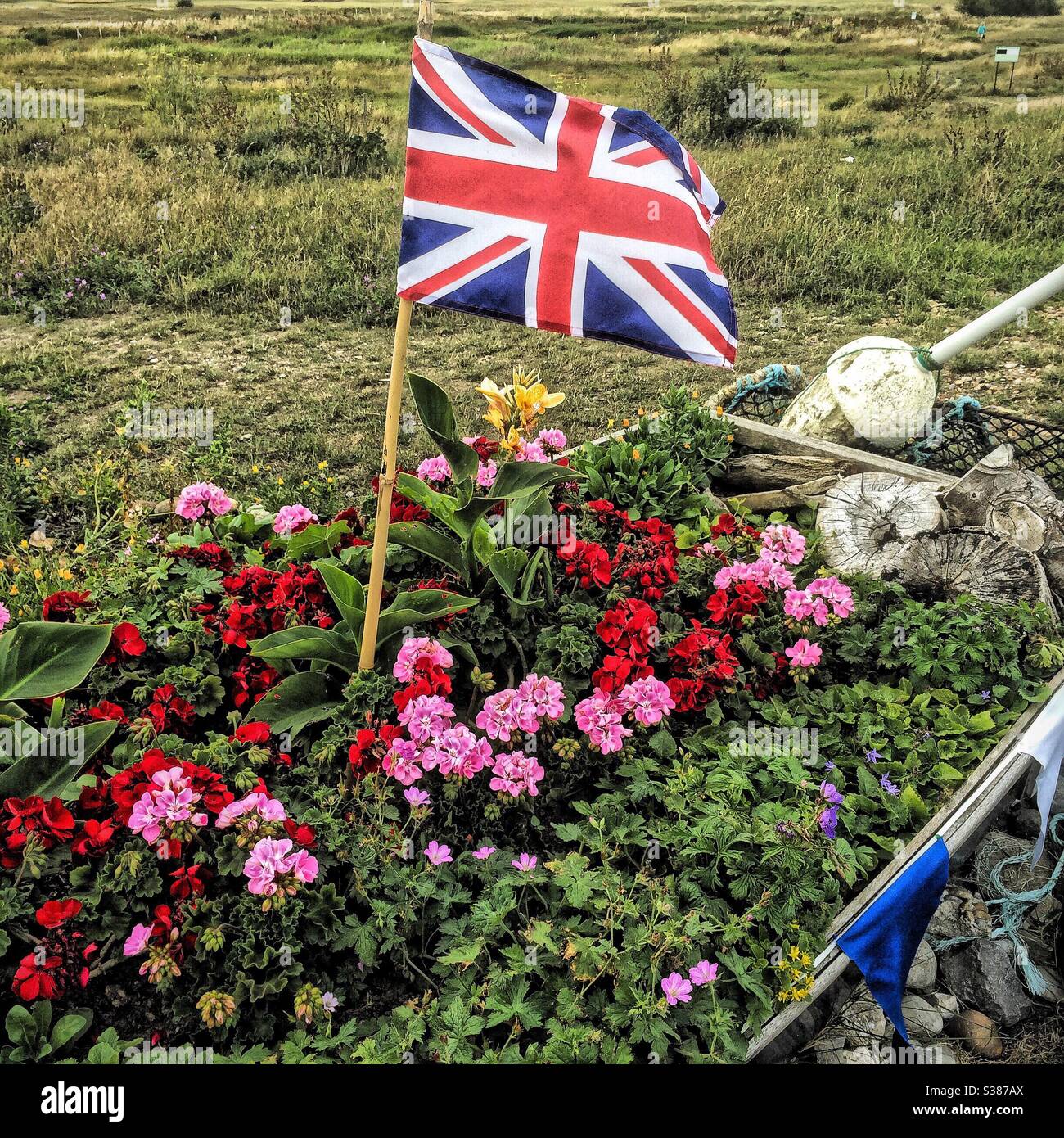 Sandown Castle Community Garden - Smartphone Captured Stock Image