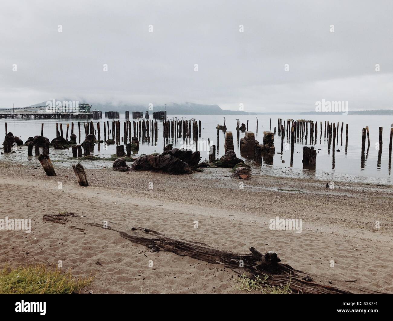 Rainy beach in Anacortes Stock Photo
