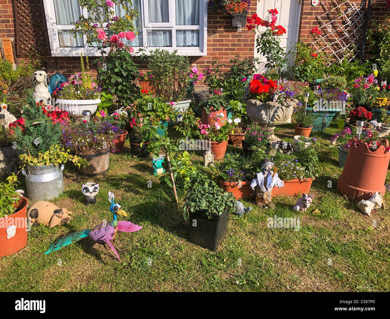 A busy garden with lots of plants and garden ornaments. - Smartphone Captured Stock Image