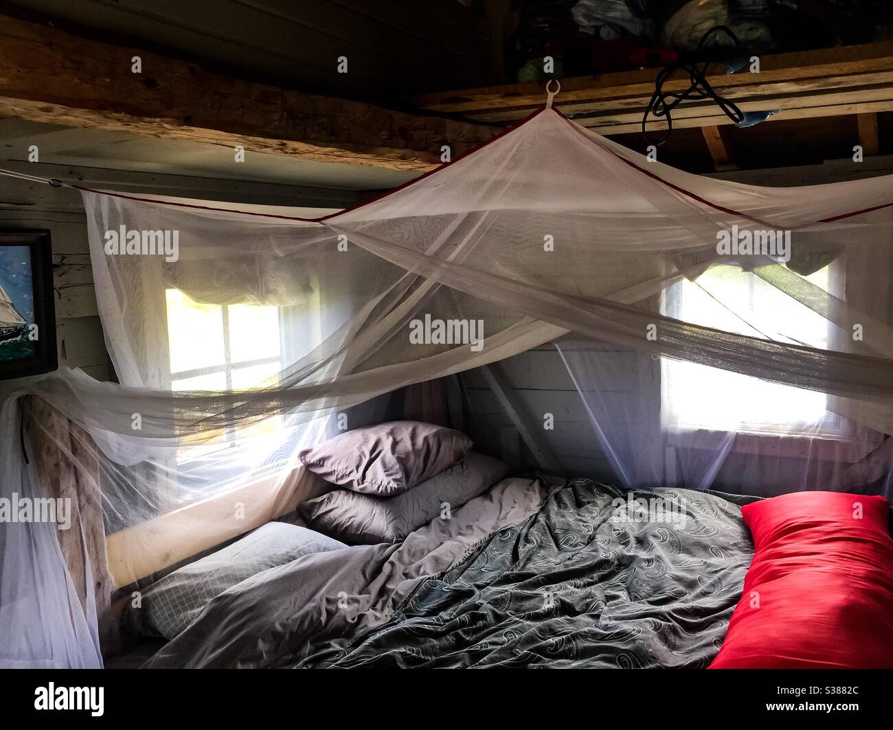 Bed with mosquito nets and a red pillow - Smartphone Captured Stock Image