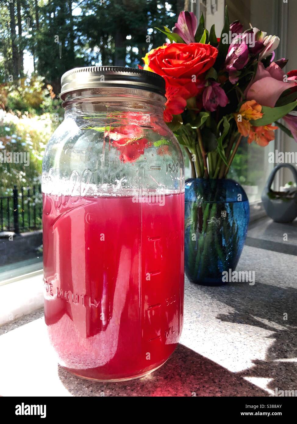Blueberry ginger tea in a large mason jar Stock Photo Alamy