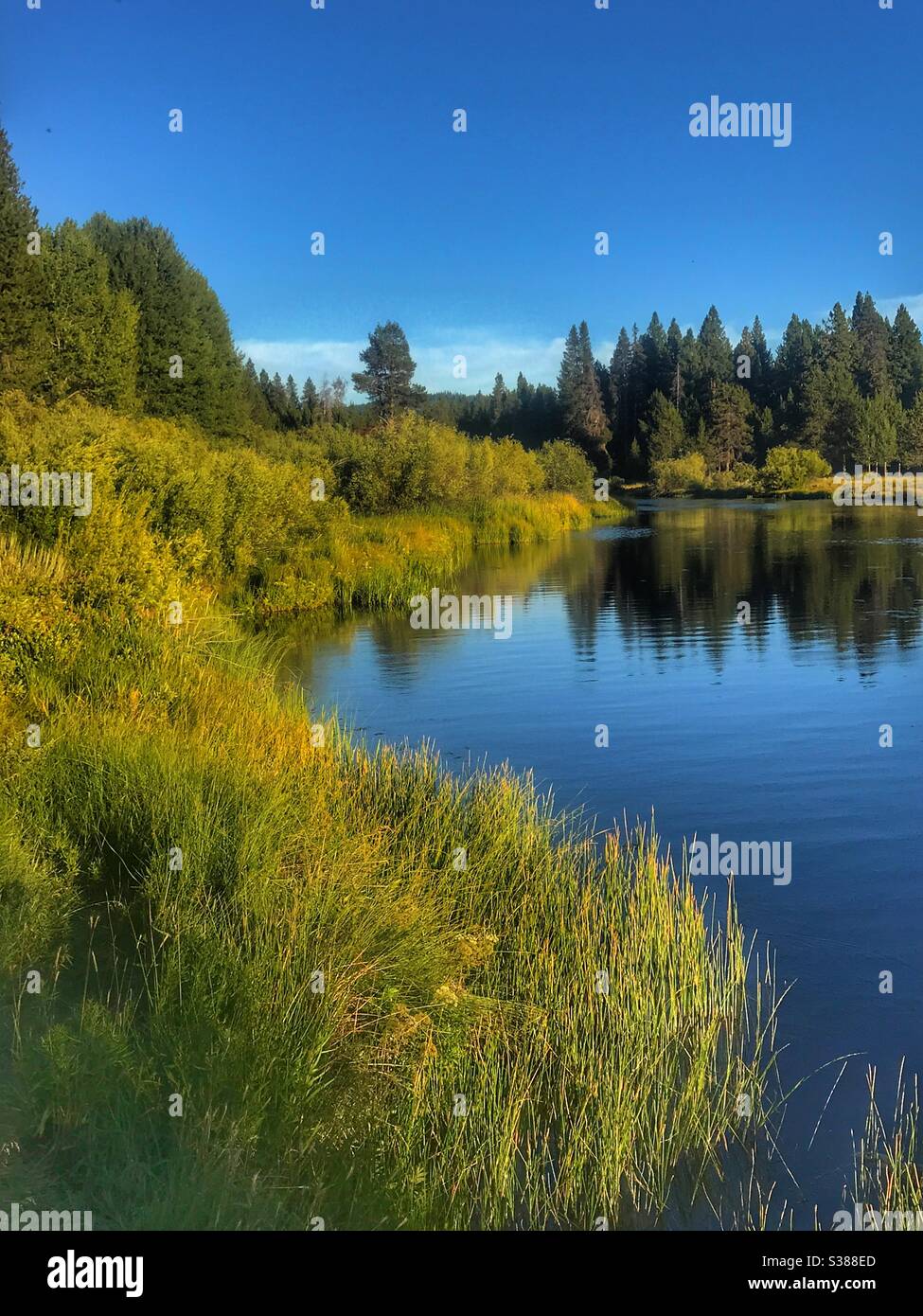 Beautiful river Stock Photo