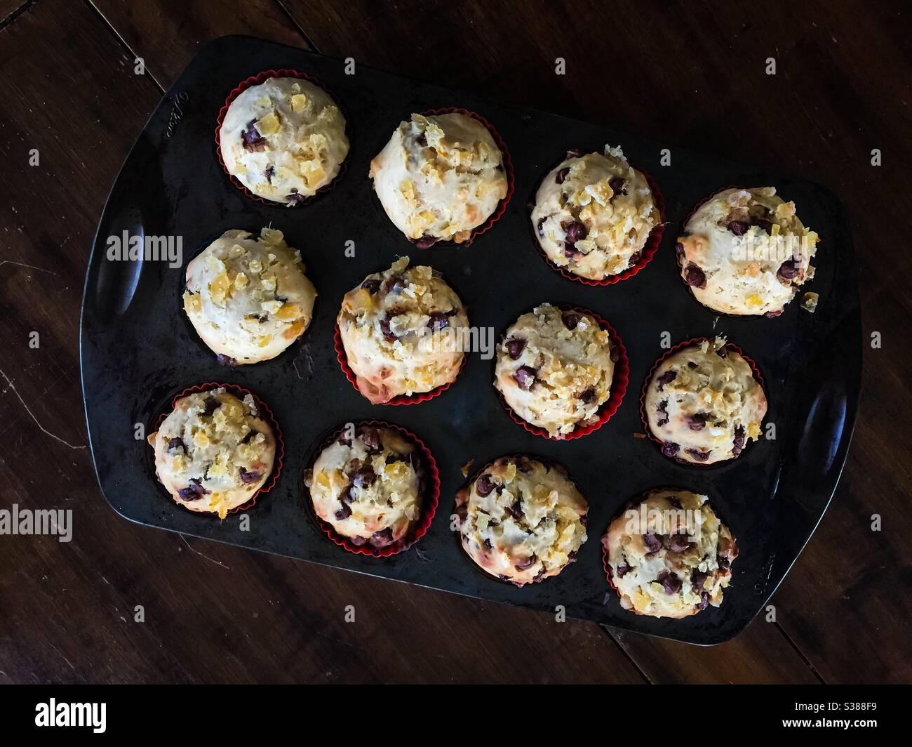 Twelve muffins, fresh out of the oven, cooling off in a baking tray. Not a baker’s dozen. Concept, home baking, DIY, small batch. - Smartphone Captured Stock Image