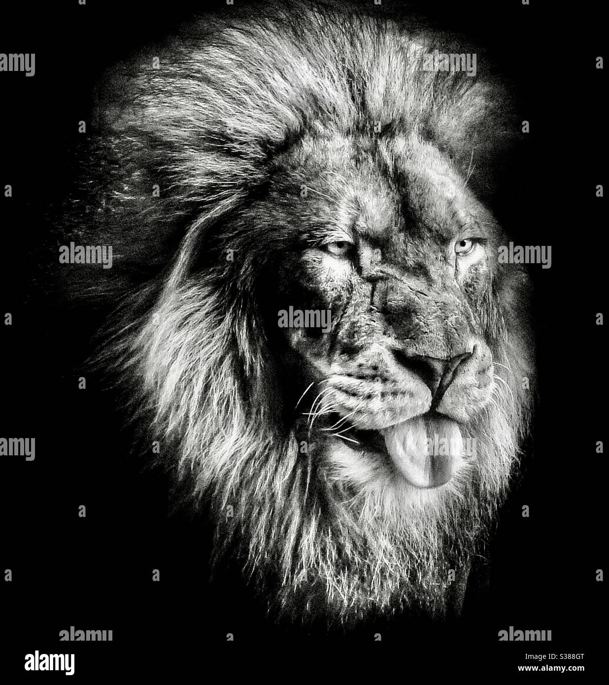 Smile - Smartphone Captured Stock Image