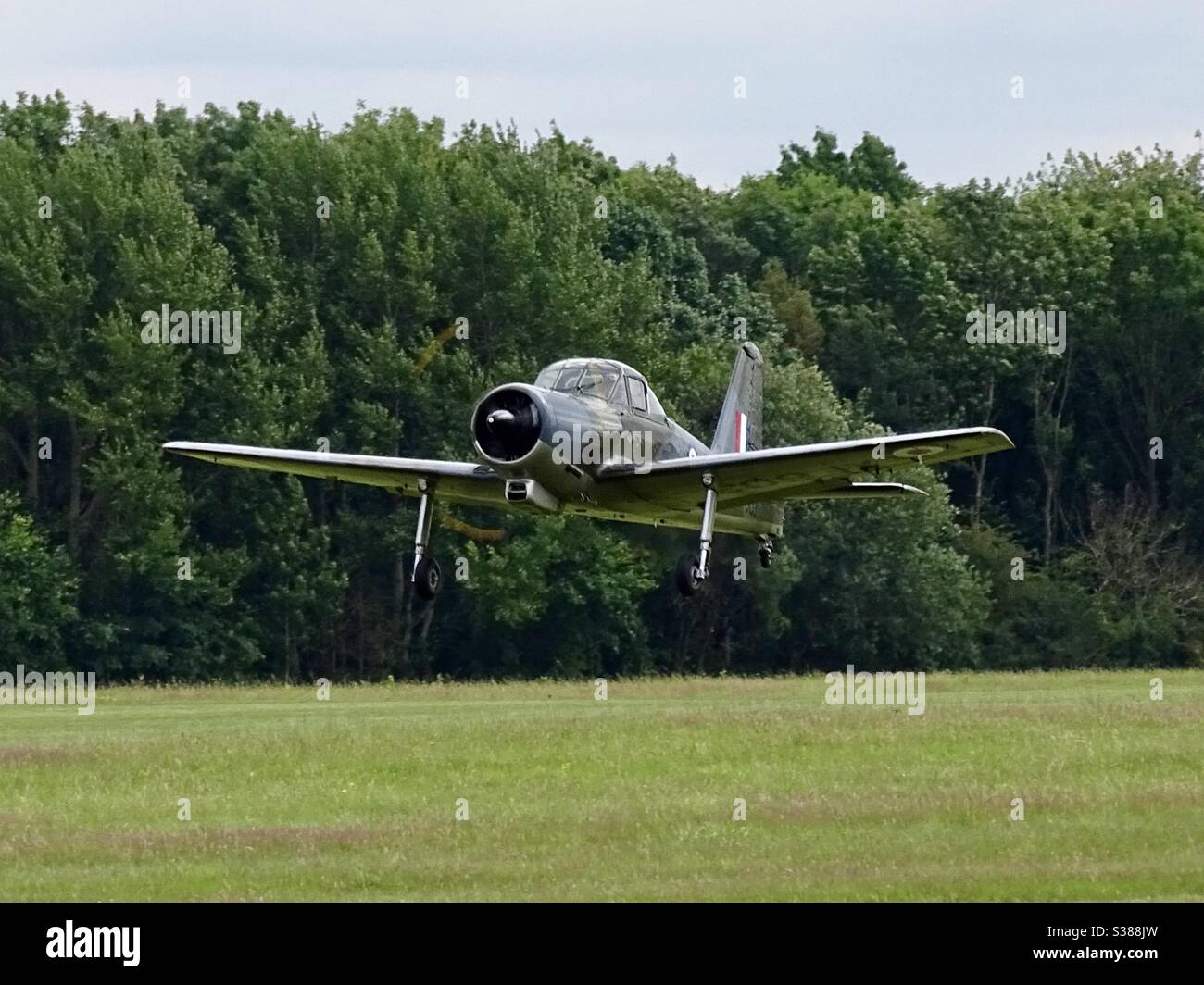 Provost aircraft coming into land on a grass runway in England Stock Photo