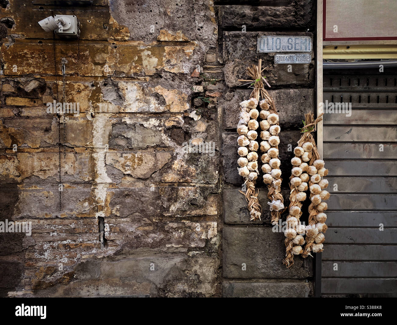 Grunge wall with hanging garlic Stock Photo