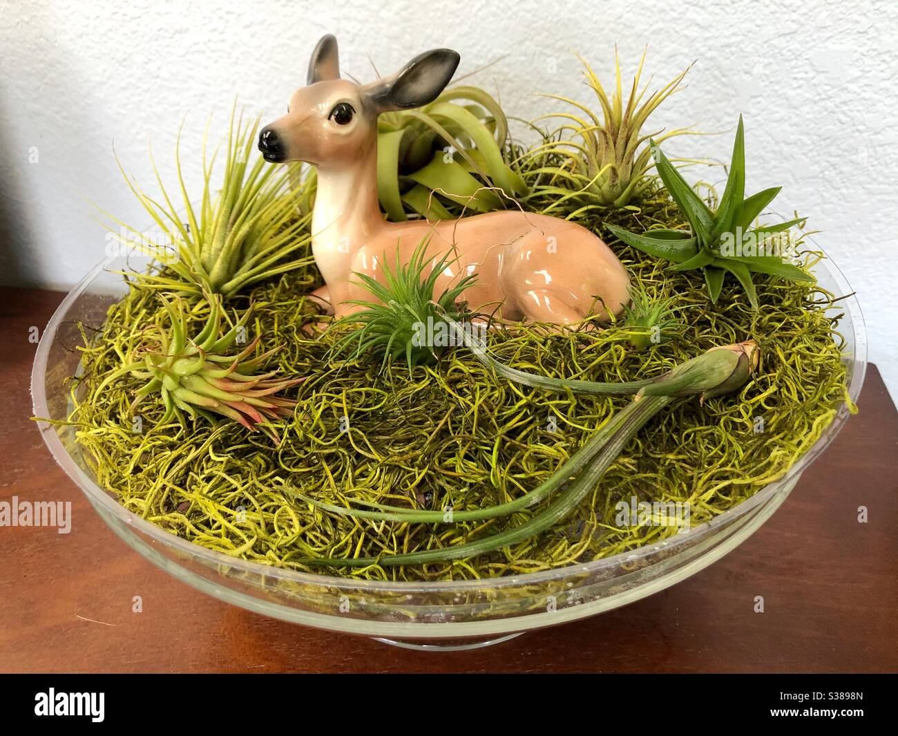 Planter arrangement with air plants and vintage deer figurine. Stock Photo