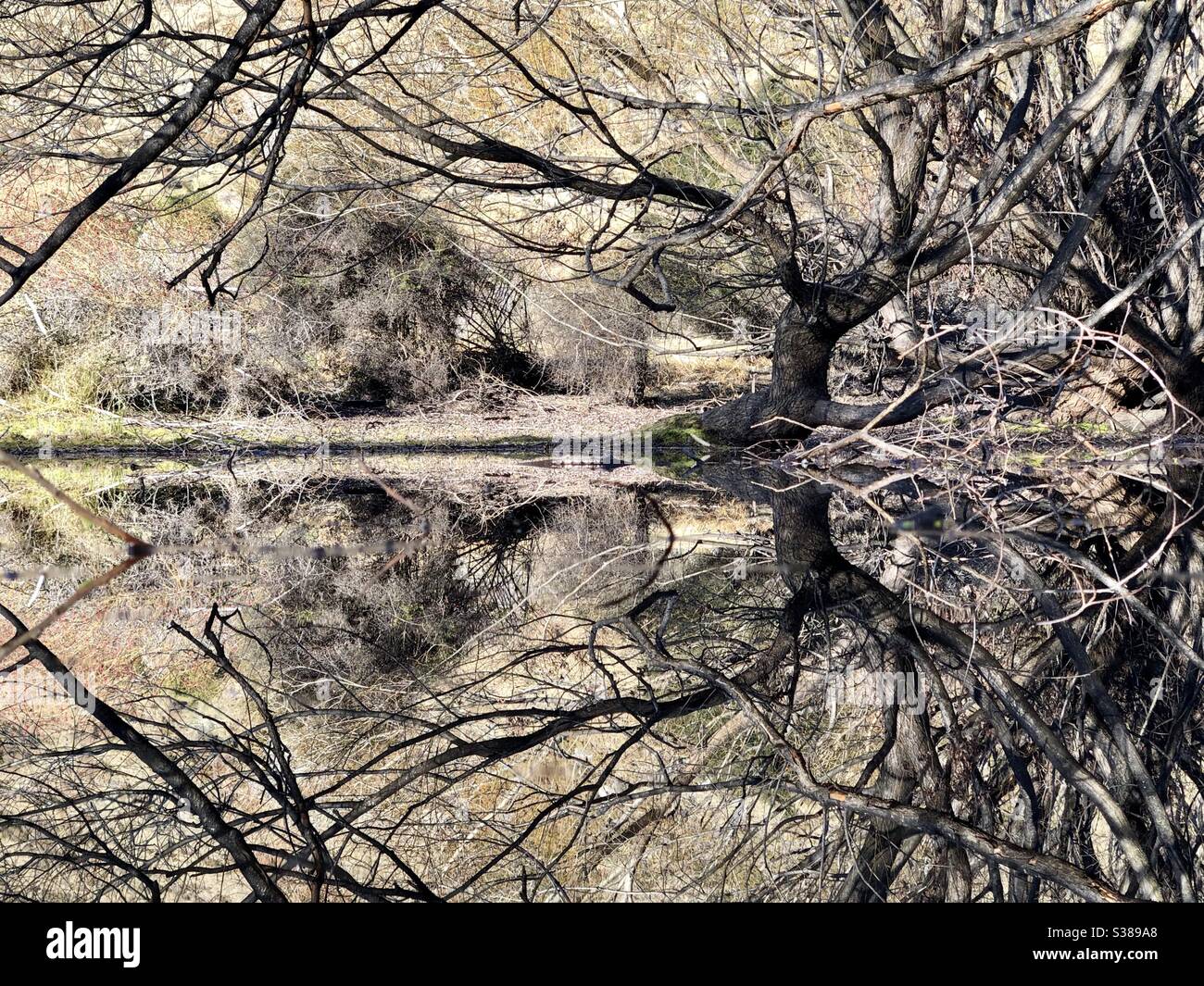 Reflection - Smartphone Captured Stock Image