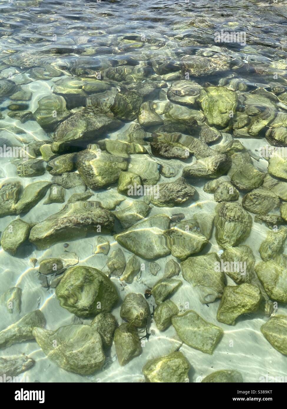 Looking down at crystal clear water with rocks on the beach - Smartphone Captured Stock Image