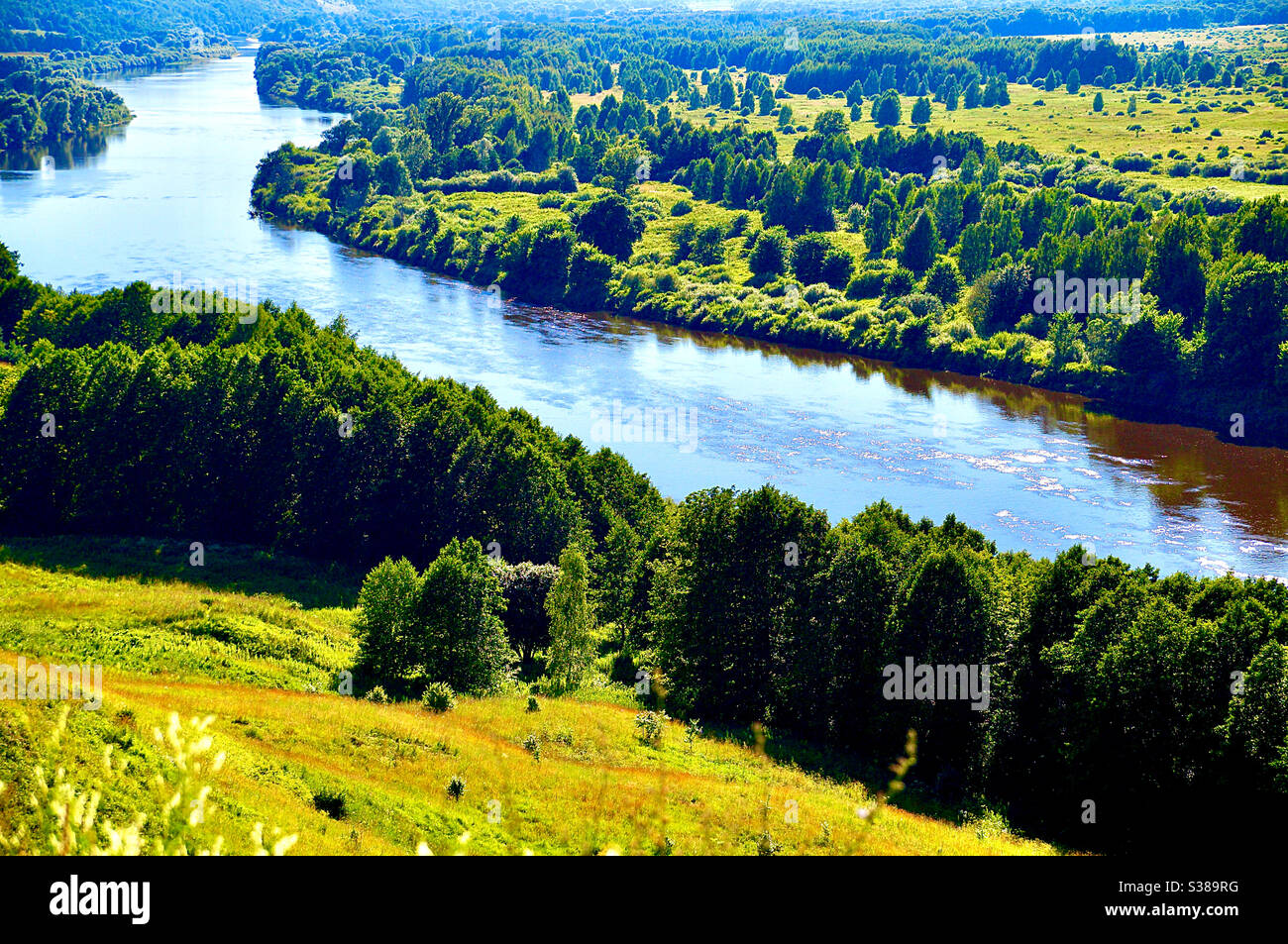 Bright sunny landscape - Smartphone Captured Stock Image