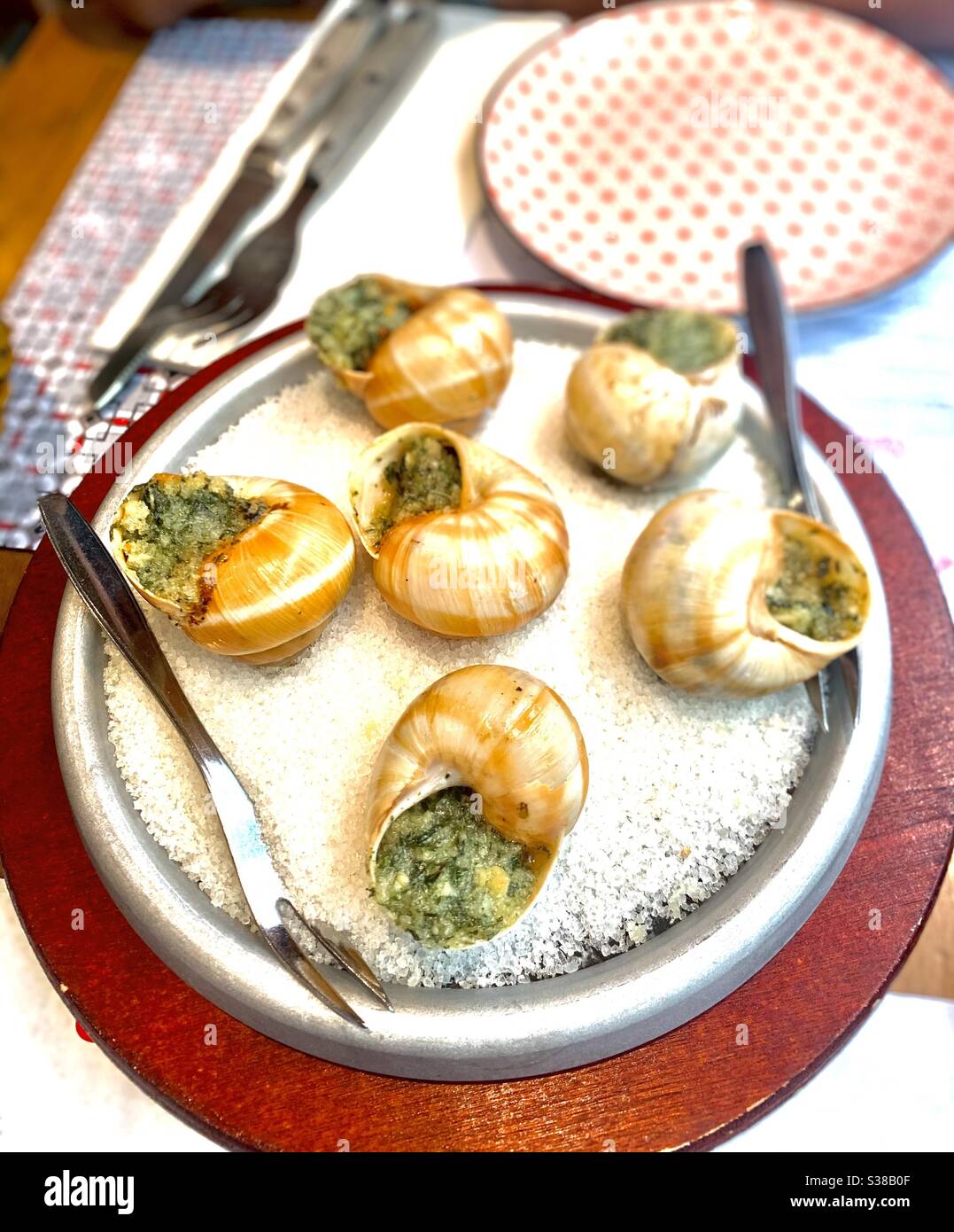 Escargot hires stock photography and images Alamy