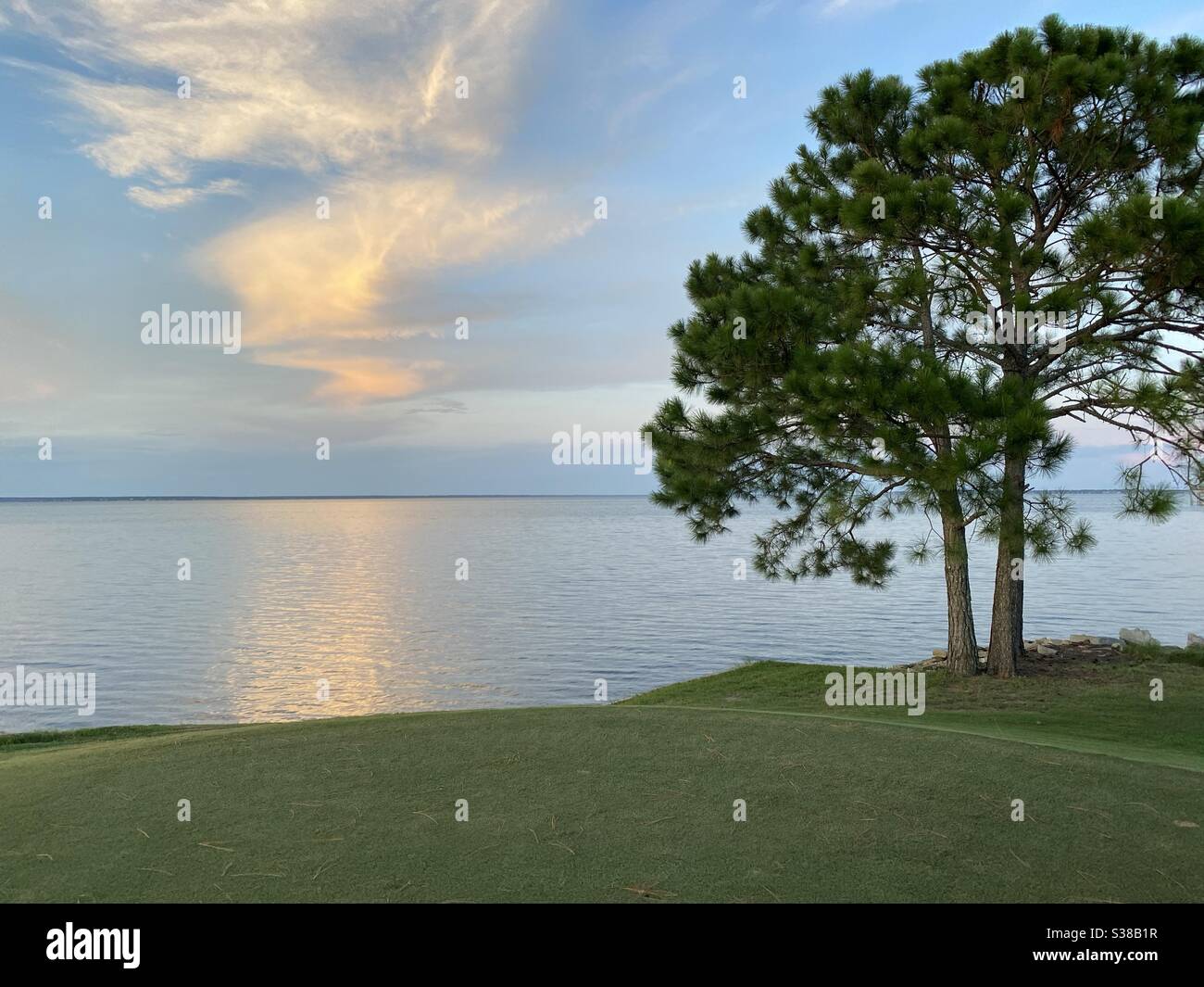 Evening skies with sun reflecting into clouds over bay water with green grass and pine tree - Smartphone Captured Stock Image