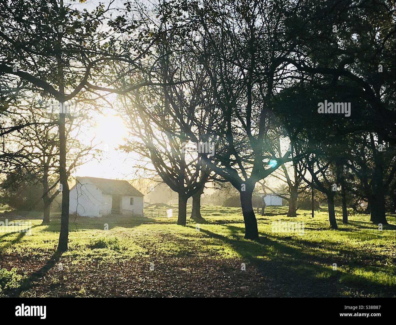 Good morning world Stock Photo Alamy