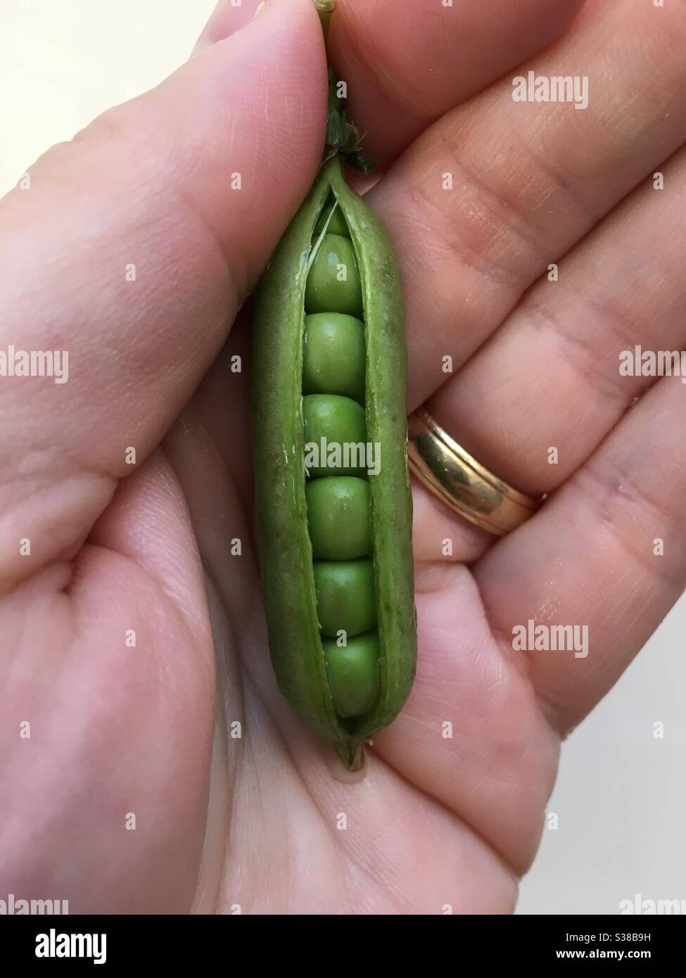 Sugar snap peas - Smartphone Captured Stock Image