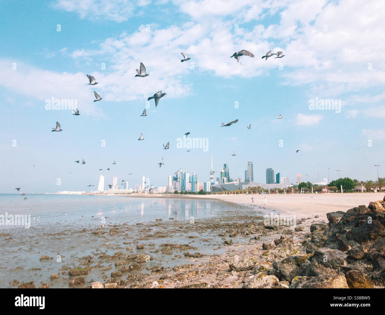 Low tide on Kuwait beach with bird flying free Stock Photo