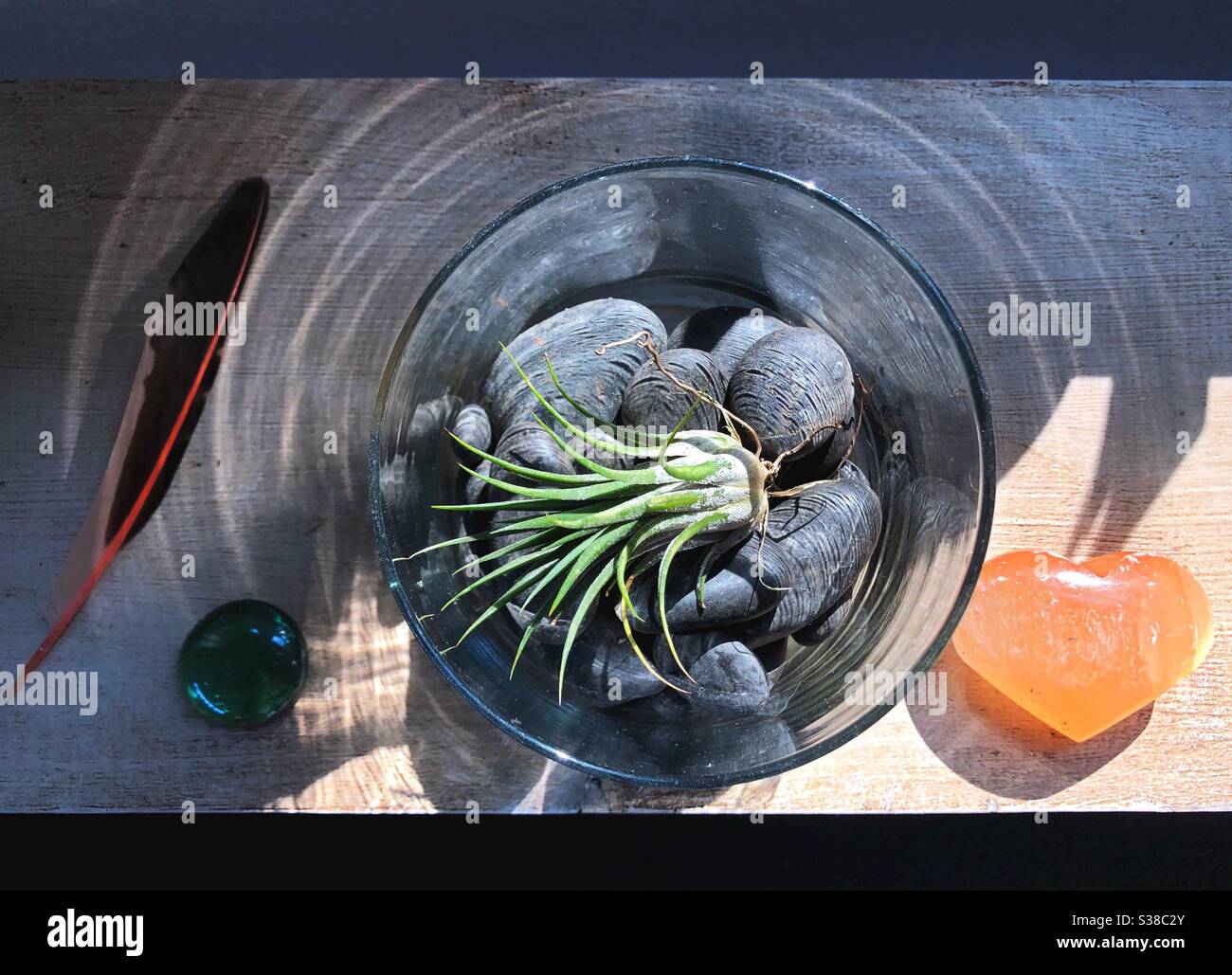 A Nature Still Life With Air Plant Terrarium Rocks And Feather Stock Photo Alamy