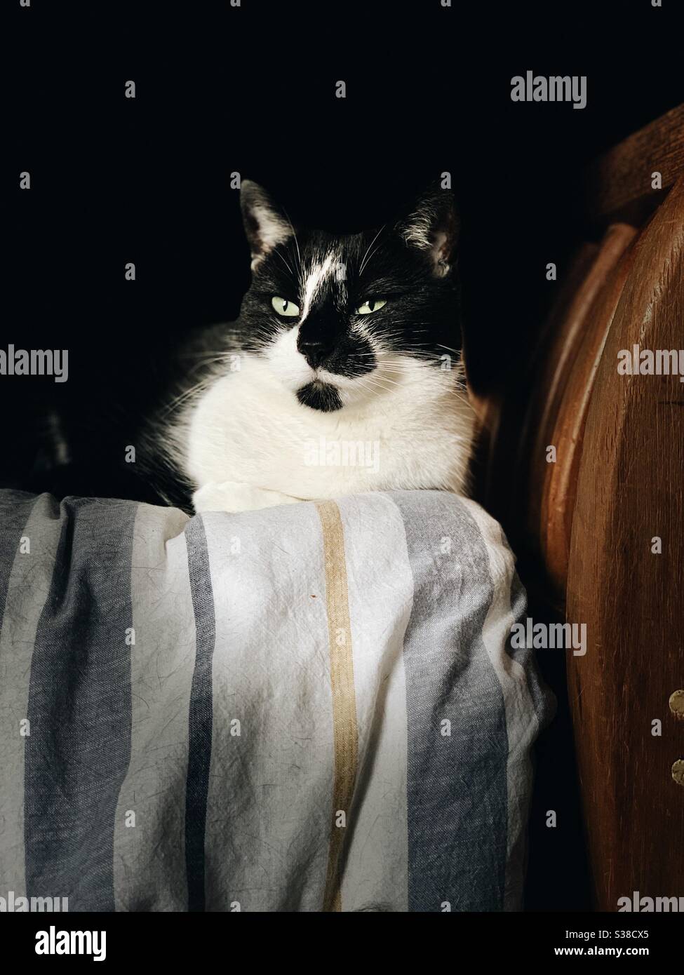 A black and white cat sits on the end of a wooden bed - Smartphone Captured Stock Image