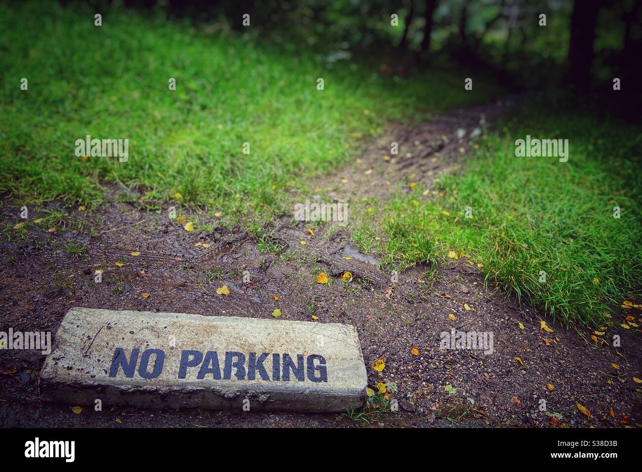 No Parking sign discarded on muddy woodland path Stock Photo