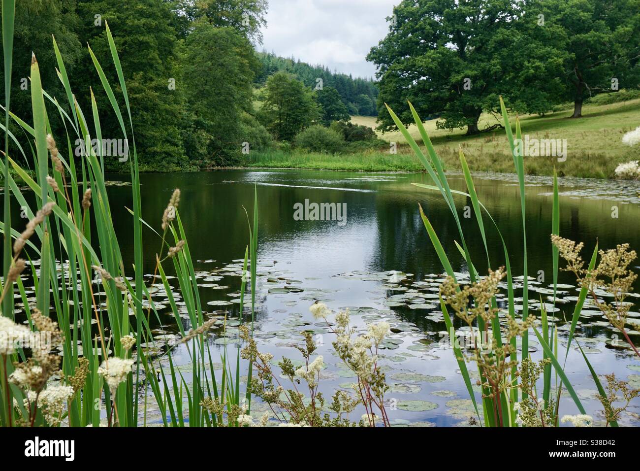 A reflective pond at Stourhead Stock Photo