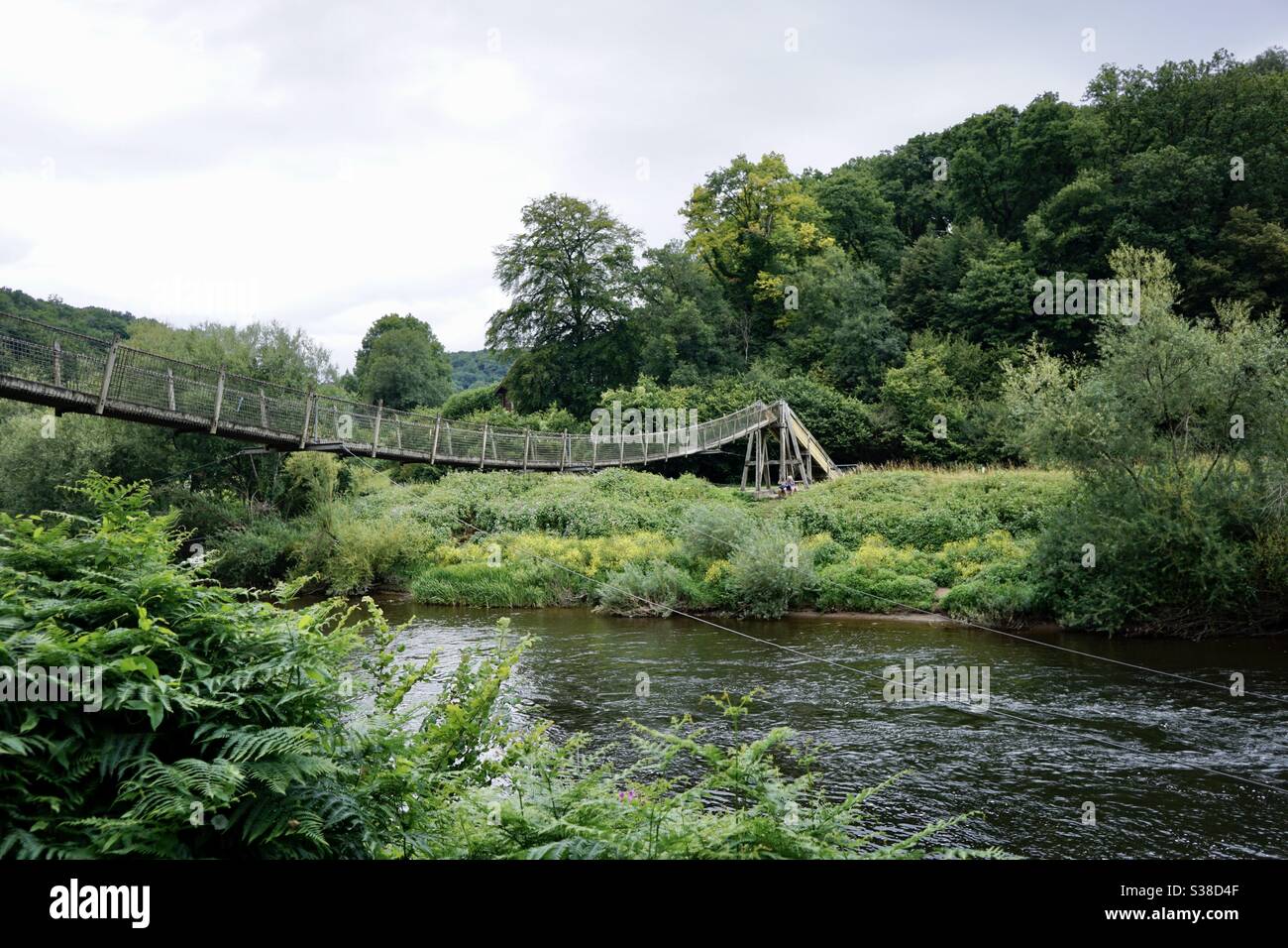 Symonds Yat rope bridge closed for repair Stock Photo Alamy