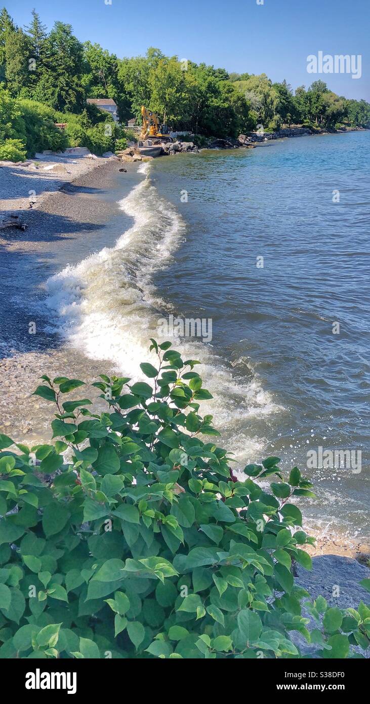 Shoreline ecosystem hi-res stock photography and images - Alamy