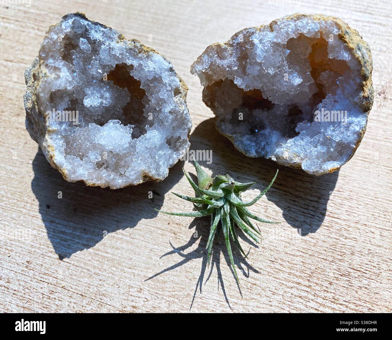 Quartz plant hires stock photography and images Alamy