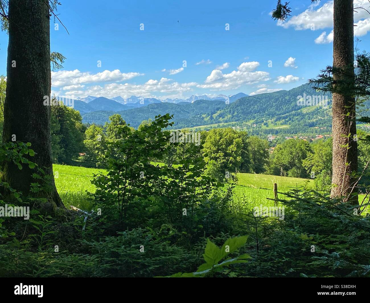 Alpine view at mountain peaks from the forest near Lenggries in Bavaria. Stock Photo