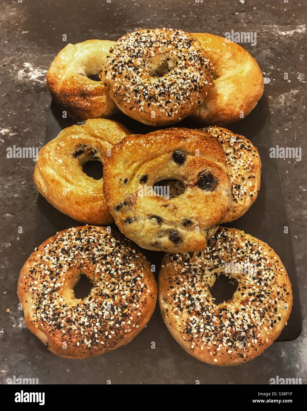 Home cooked bagels.  Everything and Blueberry Stock Photo