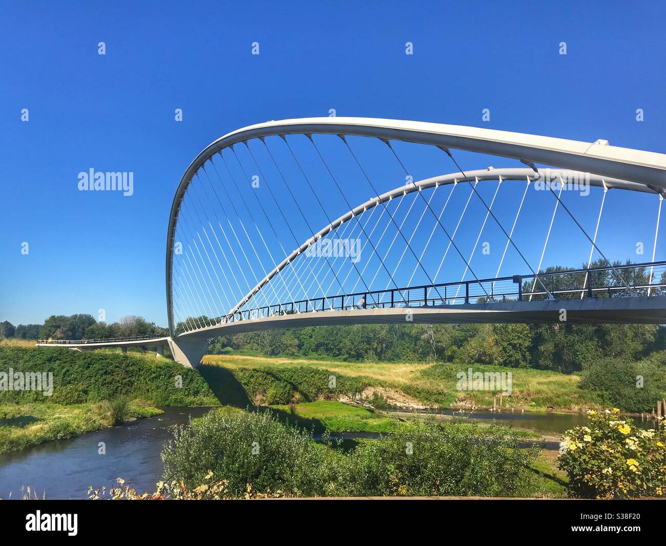 Cool suspension bridge in a park in Salem Oregon - Smartphone Captured Stock Image