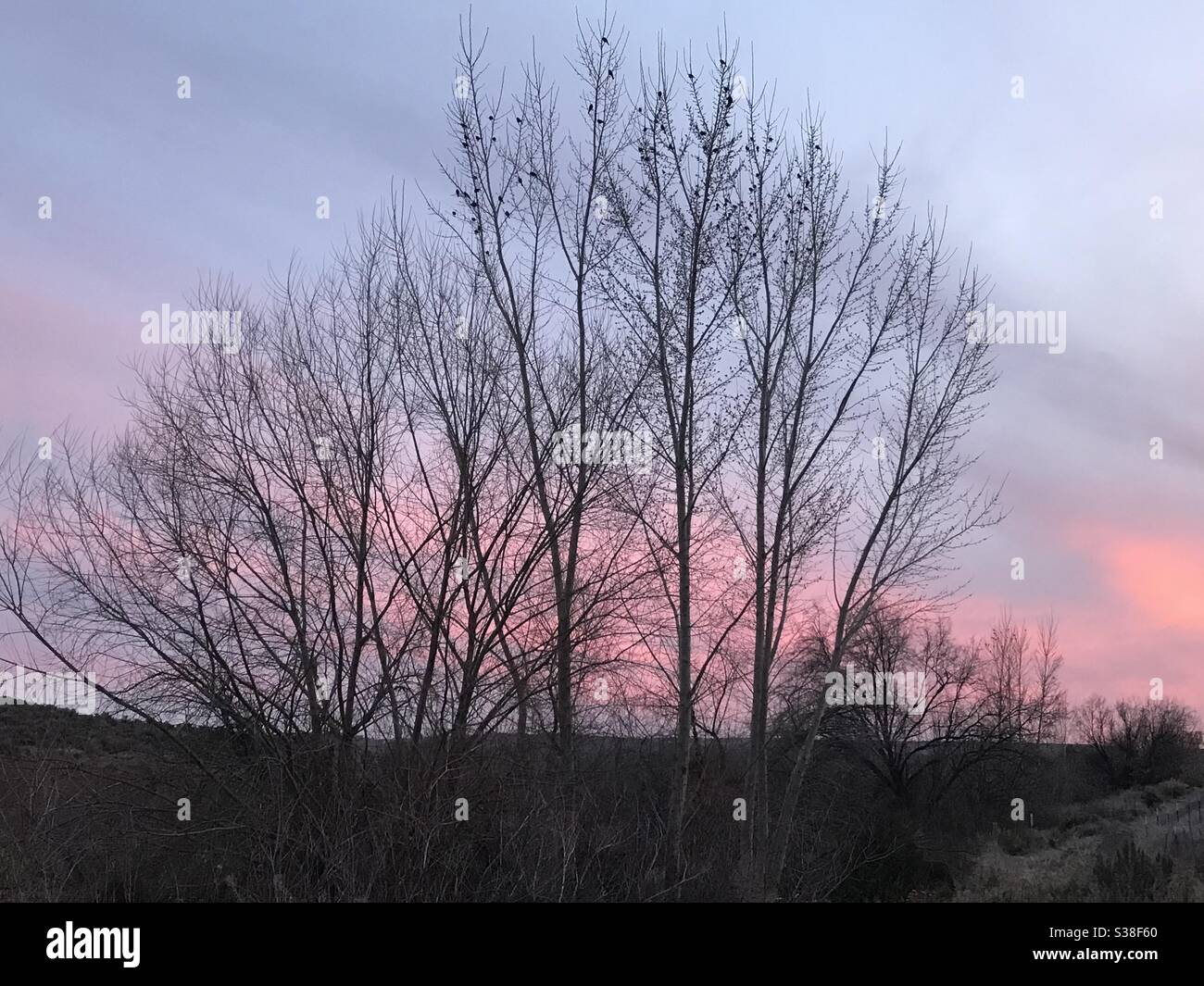 Fall Sunset - Smartphone Captured Stock Image