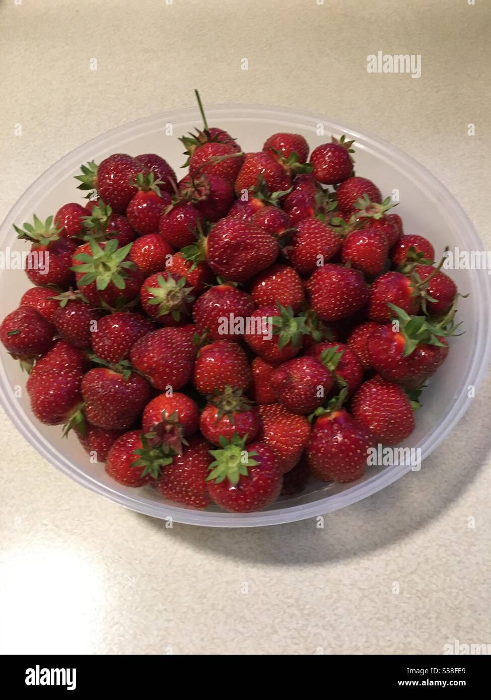 Fresh picked strawberries Stock Photo