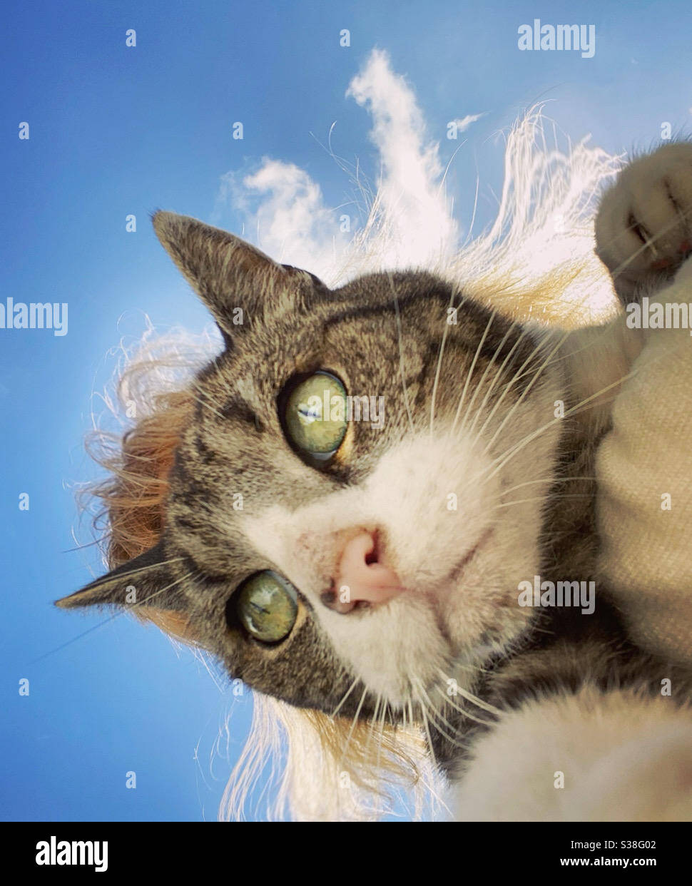 The cloudysky above the he-cat. - Smartphone Captured Stock Image