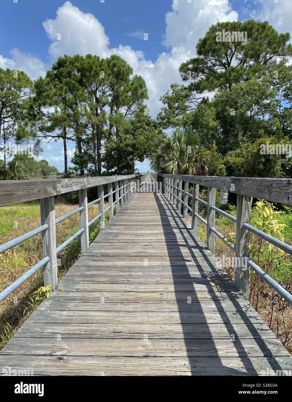 Wooden bridge grass hi-res stock photography and images - Alamy