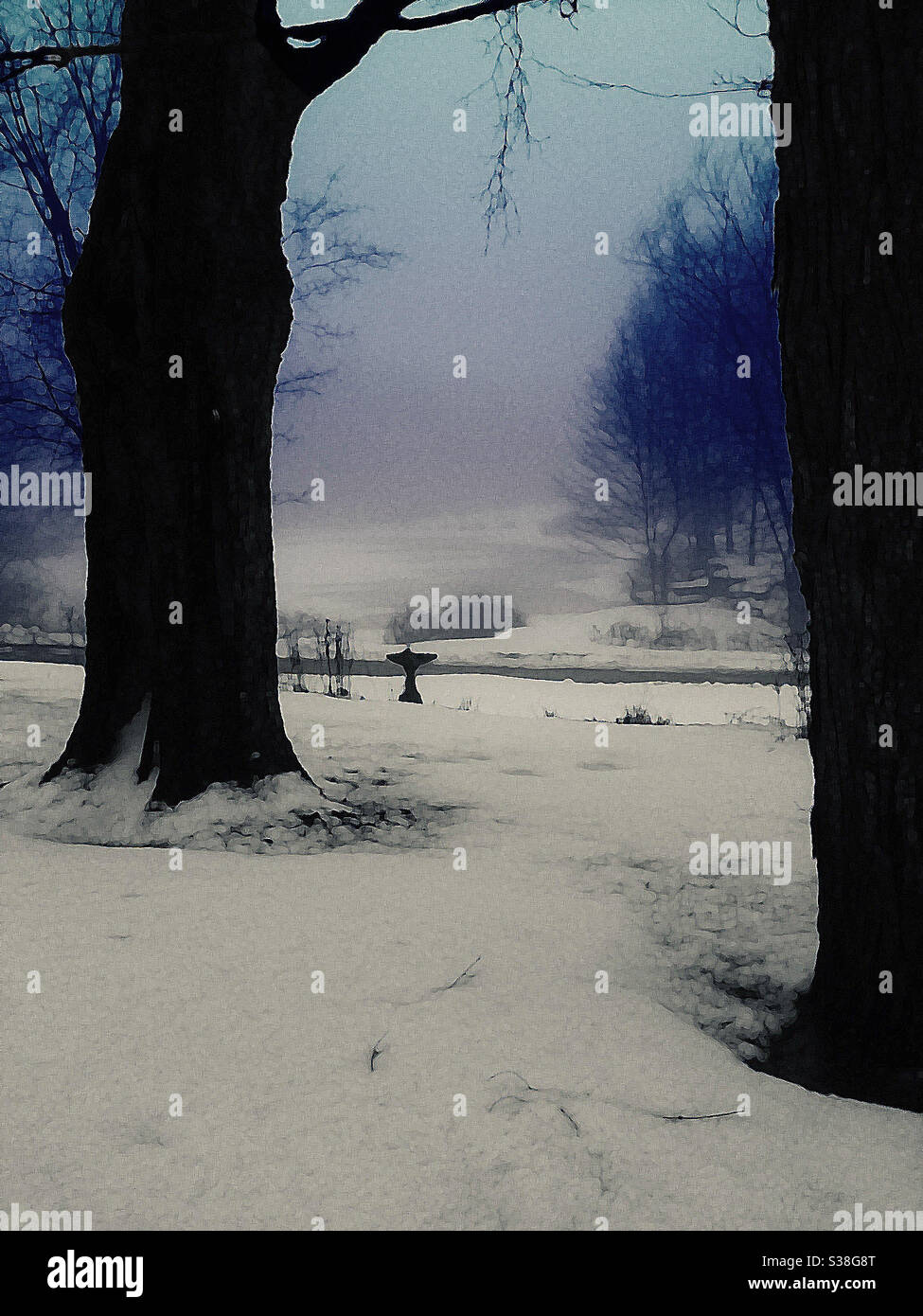 Photo illustration of a winter scene looking between two maple trees and a snow-covered river. - Smartphone Captured Stock Image