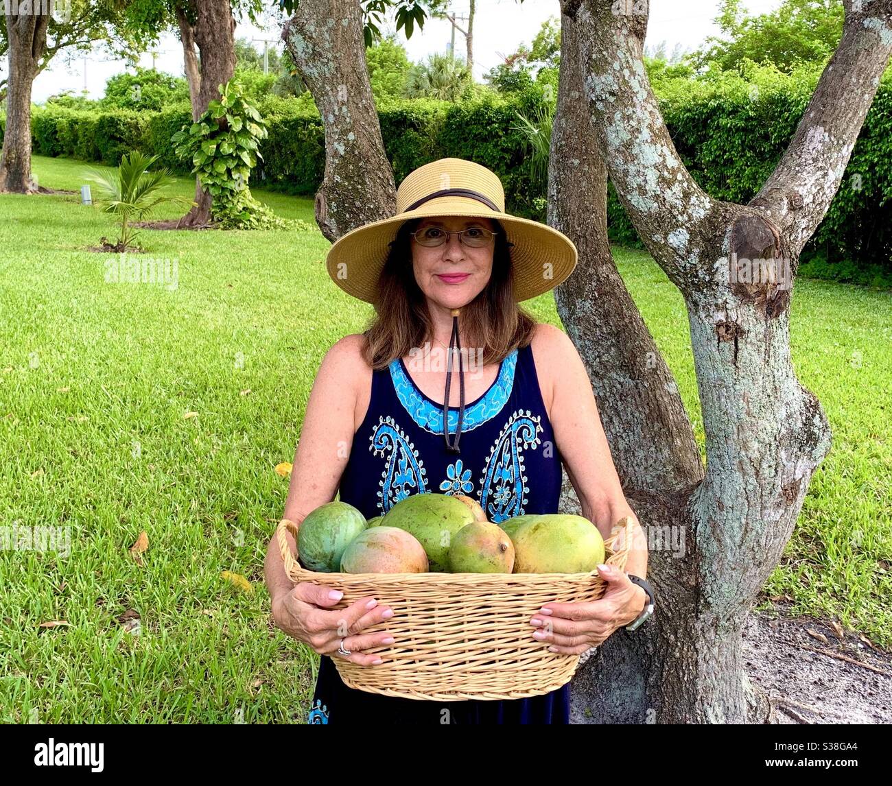 Older woman holding a basket of freshly harvested mangos. Stock Photo